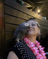 Parrot owner, North Caroline